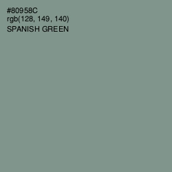 #80958C - Spanish Green Color Image